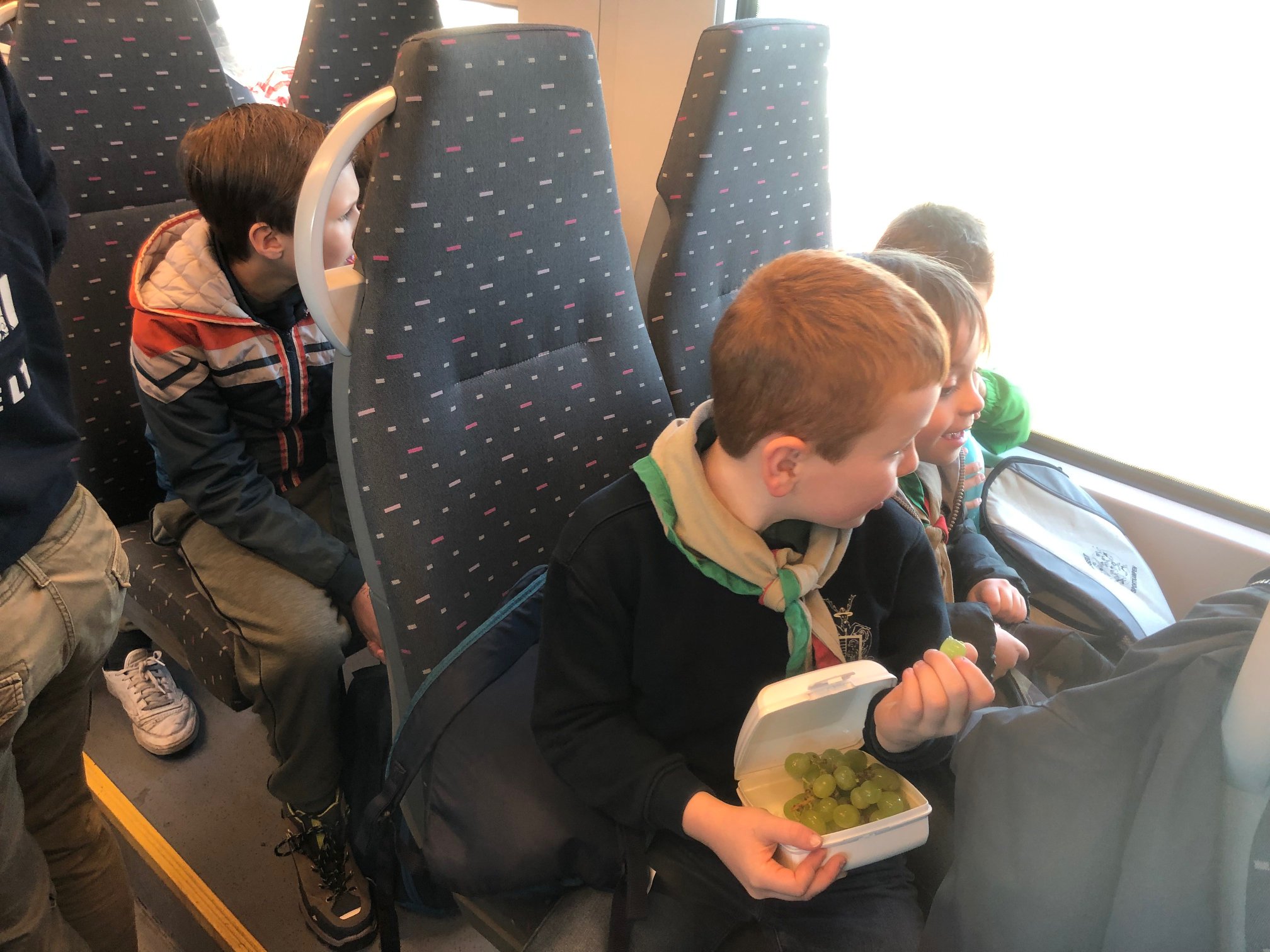 Sint-Martinus den XIIde - Zoo Antwerpen Kapoenen